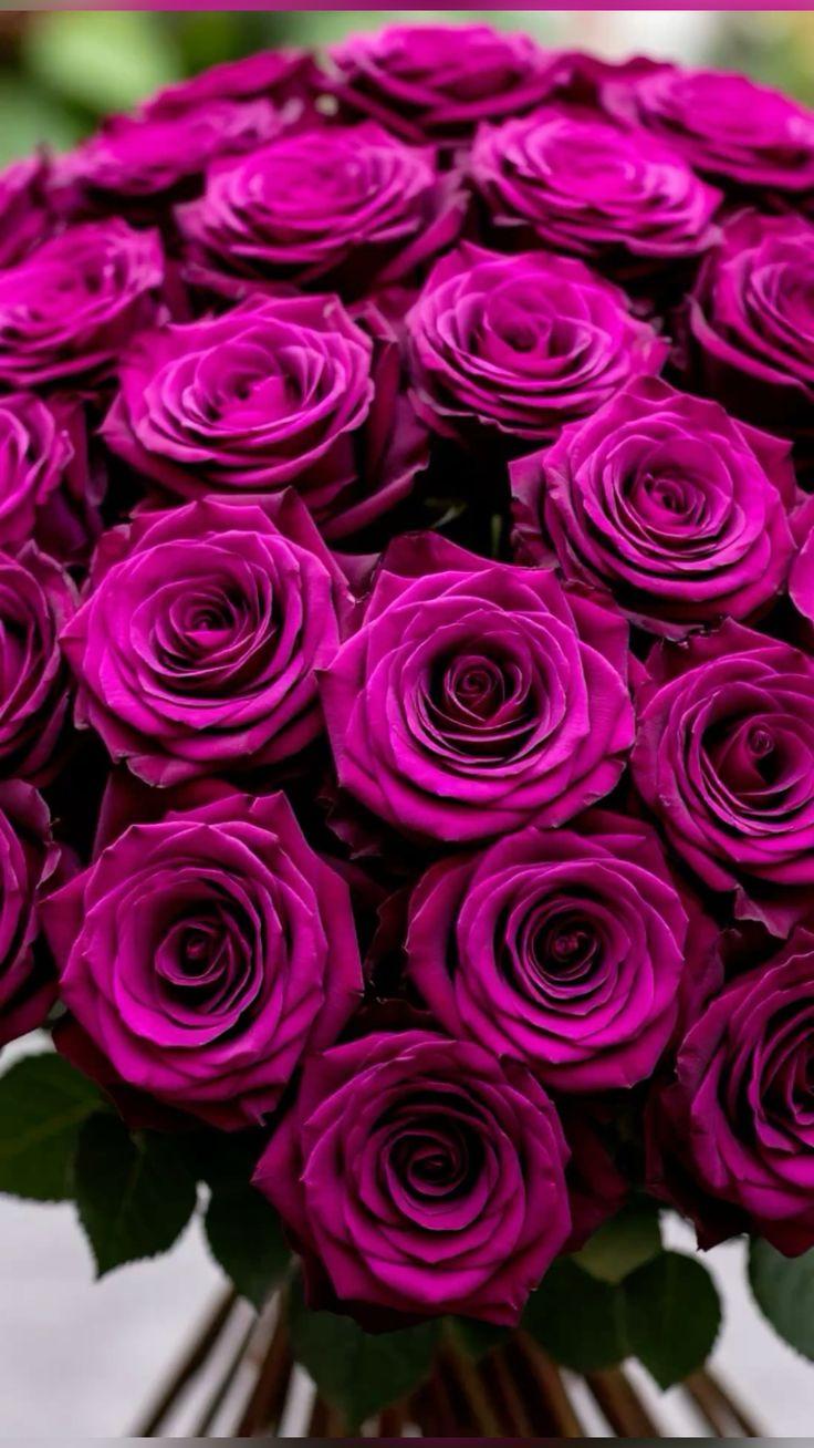 Marble Collect Top workshop space where corporate flower arrangements are designed and prepared for business delivery